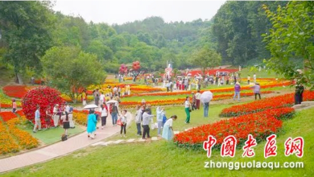 湖北四季花海村企“共建共富”的探索與實(shí)踐
